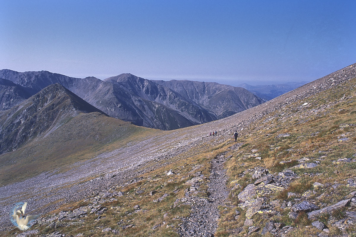 Mountain landscape of Canigou