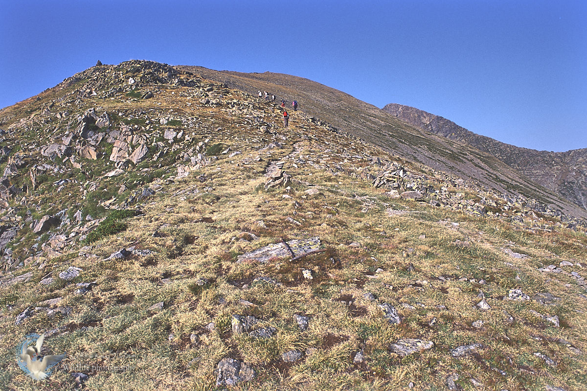 Mountain landscape of Canigou