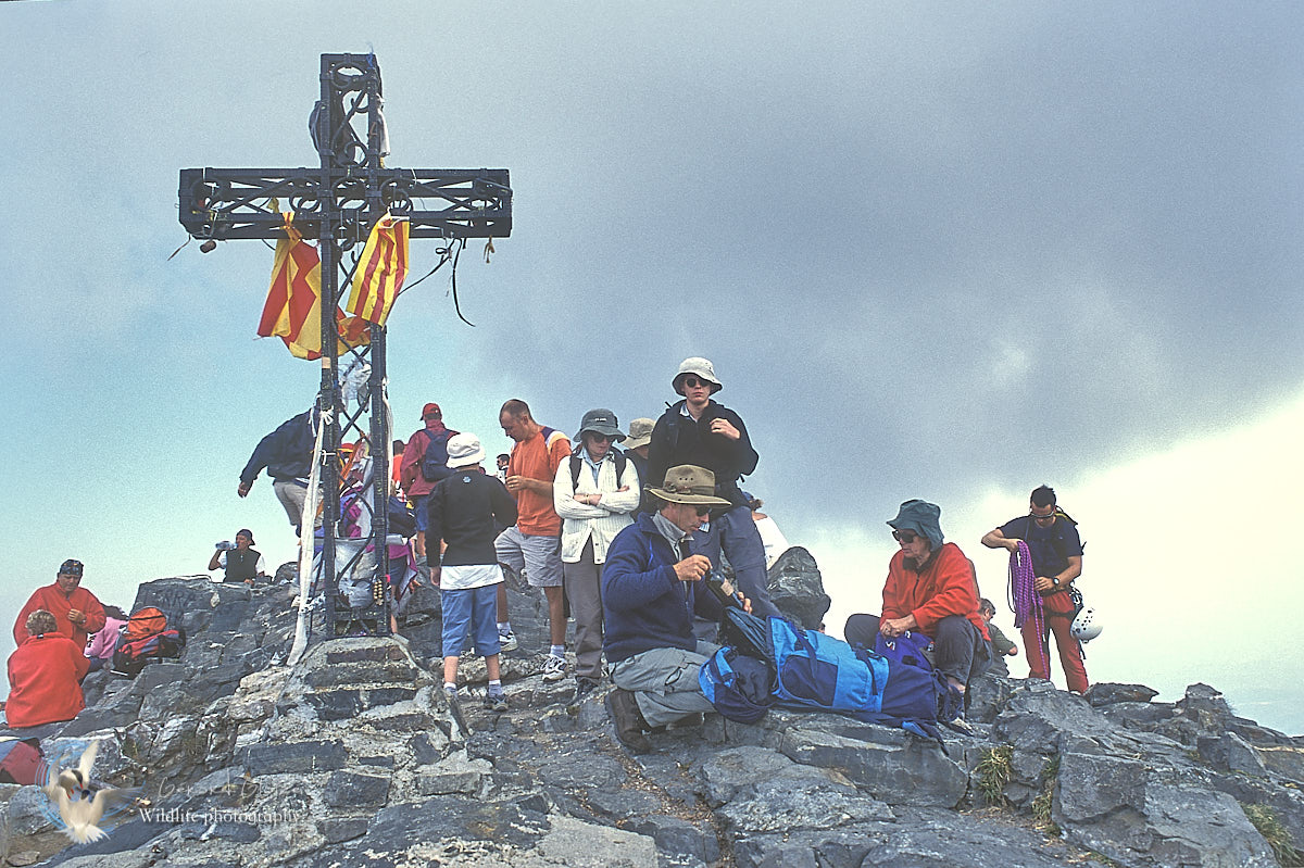 Canigou summit and Catalan flag