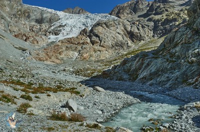 Glacier Blanc - Parc des Ecrins