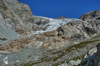 Glacier blanc - Parc des Ecrins
