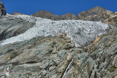 Glacier blanc vu du refuge - Parrc des Ecrins