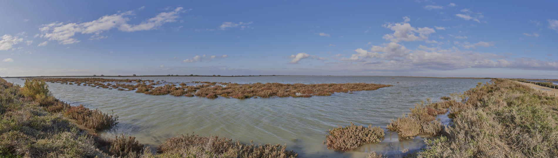 Panorama on the ponds - Camargue