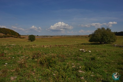 Landscape of Aubrac