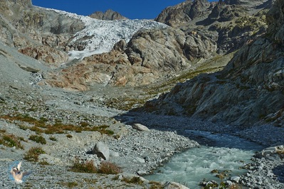 Le glacier blanc - parc des Ecrins