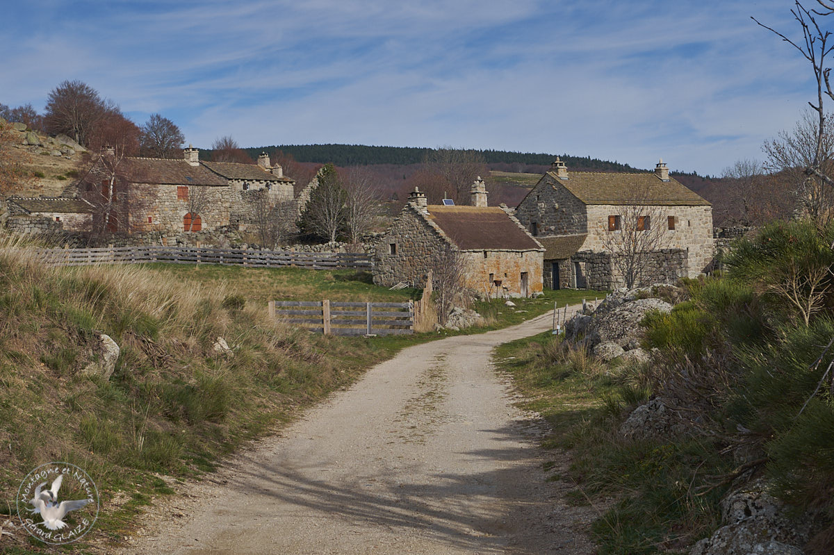 Village of Bellecoste - Cevennes