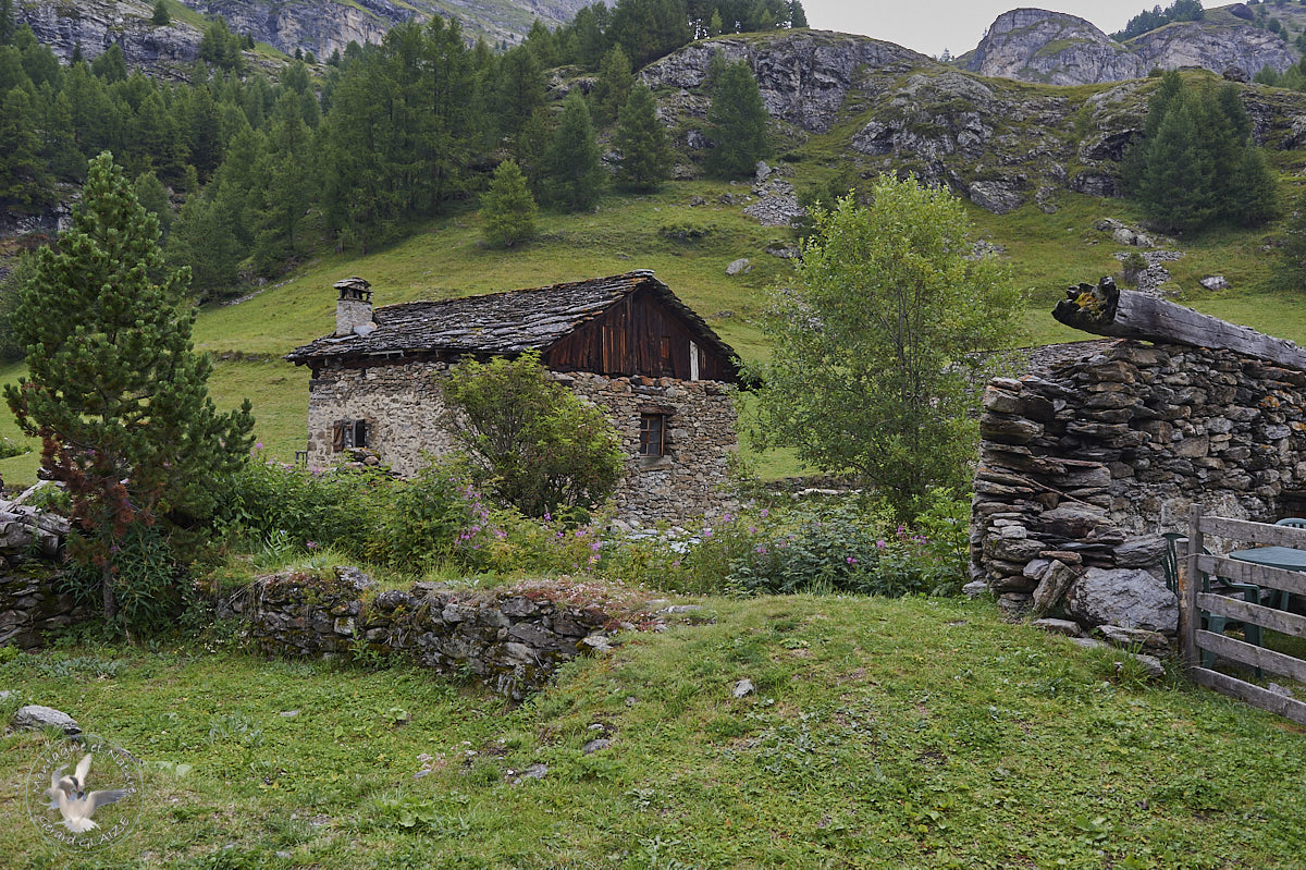Village du Monal - Alpes