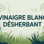 illustration jardin vinaigre blanc désherbant interdit