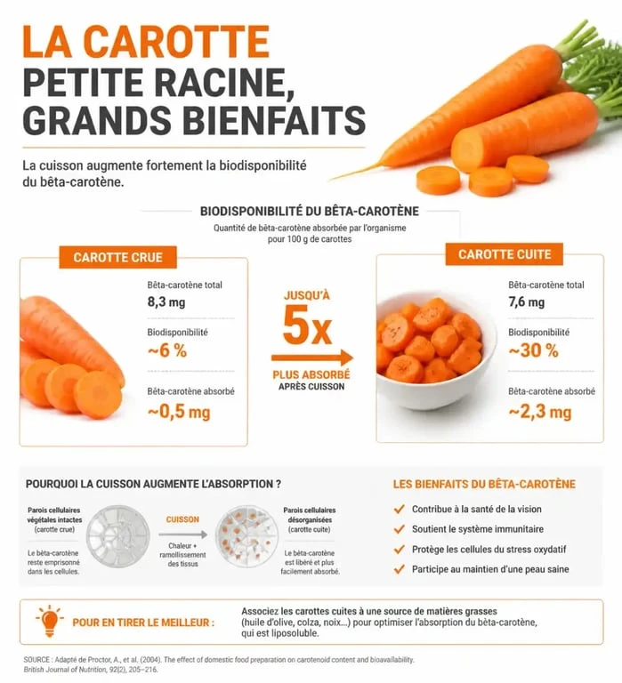 Infographie sur les bienfaits nutritionnels de la carotte et comparaison entre consommation crue et cuite