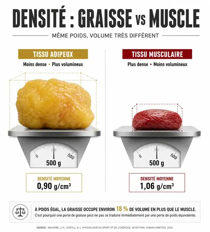 Infographie comparant la densité du muscle et de la graisse pour expliquer pourquoi on ne perd pas de poids mais on s'affine