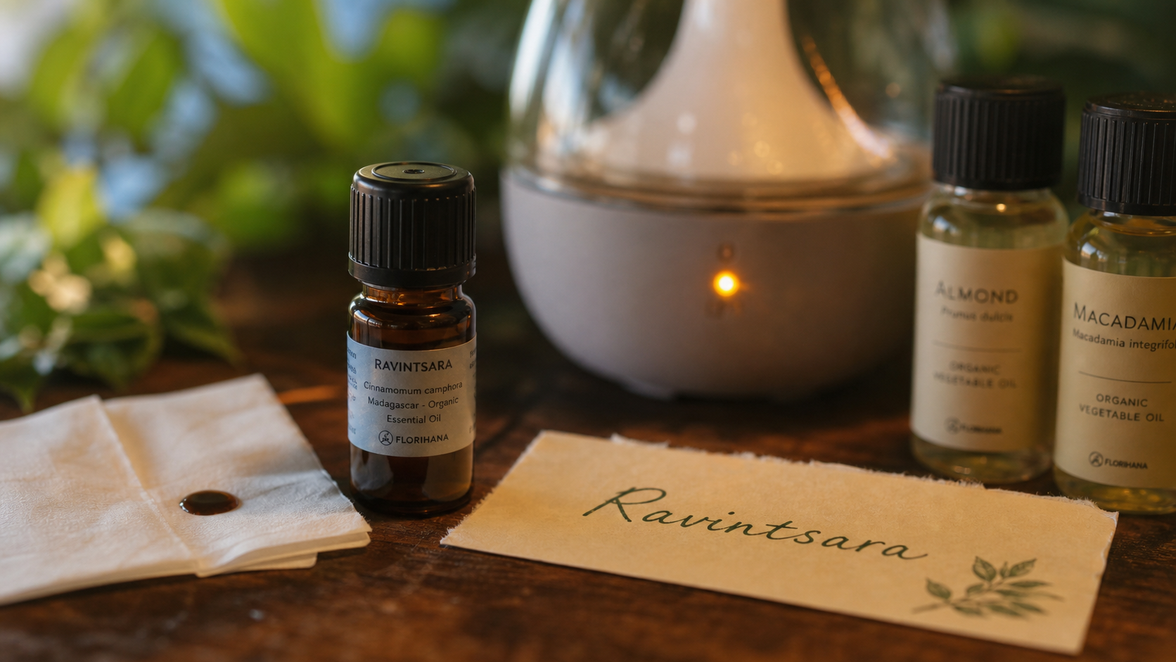 Bienfaits du ravintsara : flacon d’huile essentielle de ravintsara sur table, diffuseur en arrière-plan
