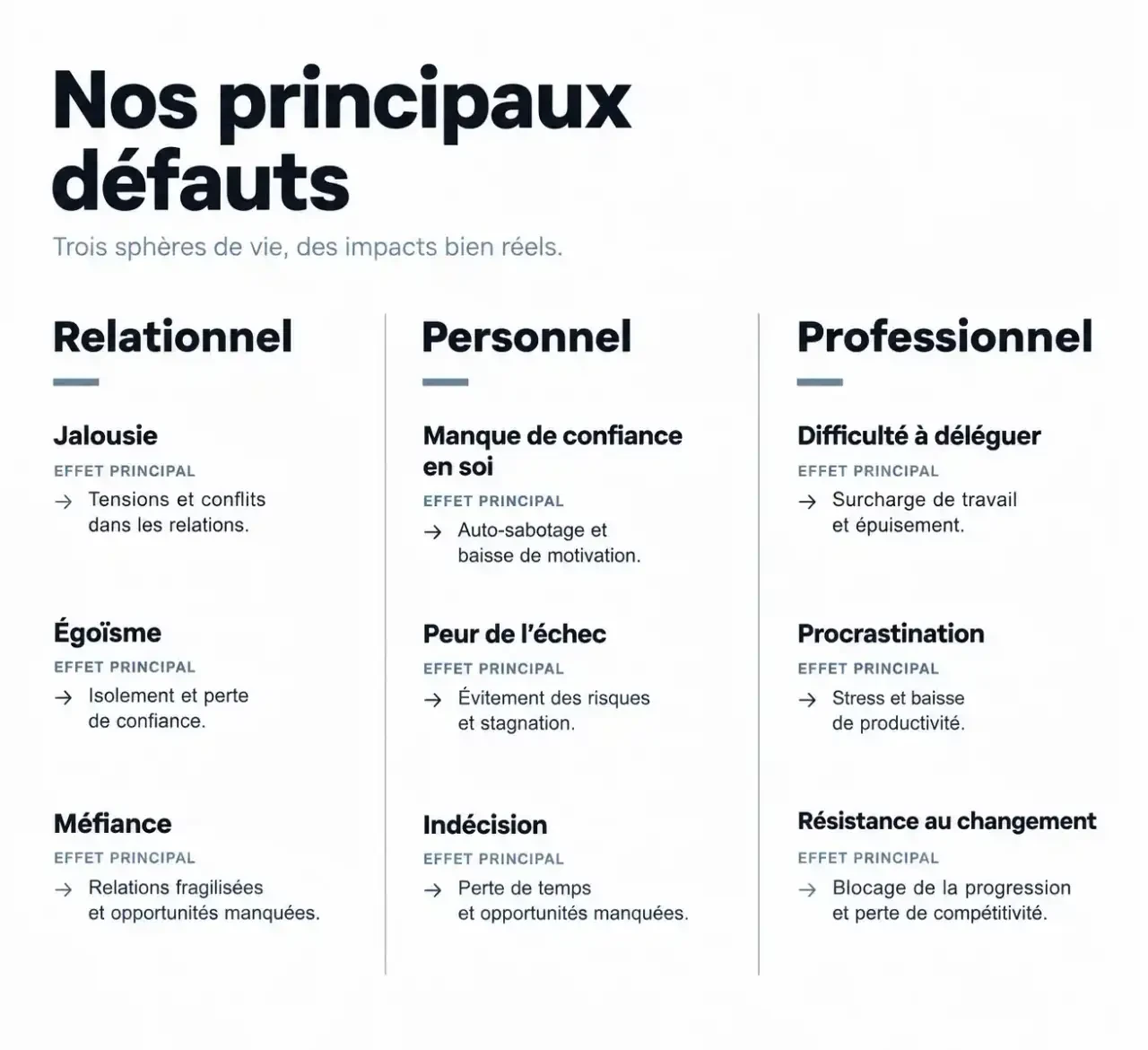 Classement des défauts de personne selon trois terrains : relationnel, personnel et professionnel